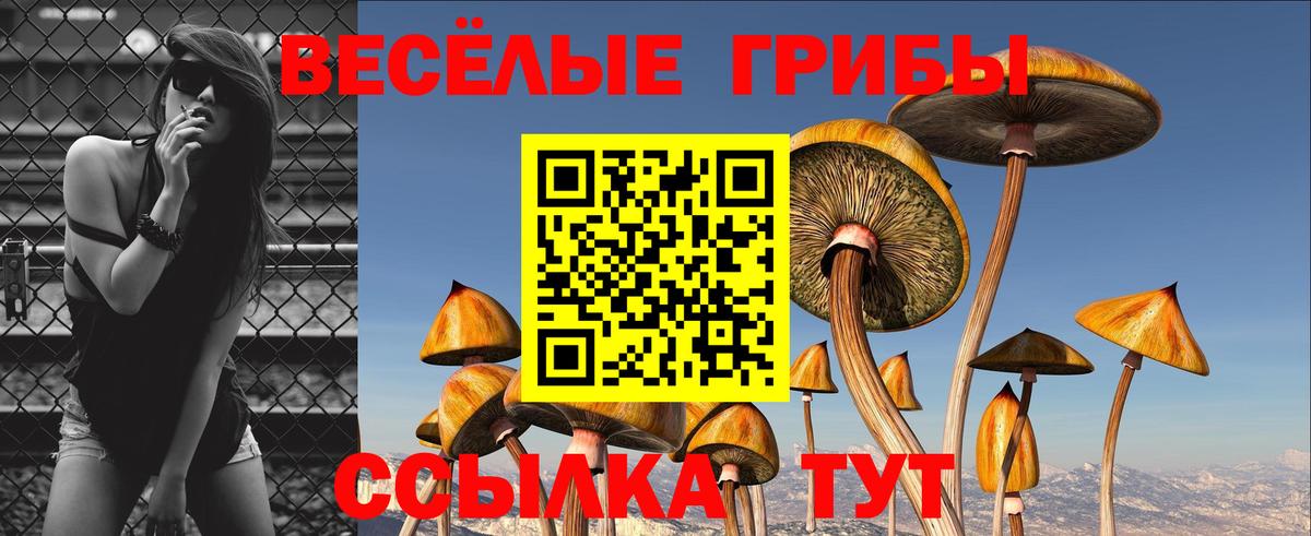 наркошоп  Вход с VPN  Ивантеевка  Псилоцибиновые грибы мицелий  Псилоцибиновые грибы Psilocybe 